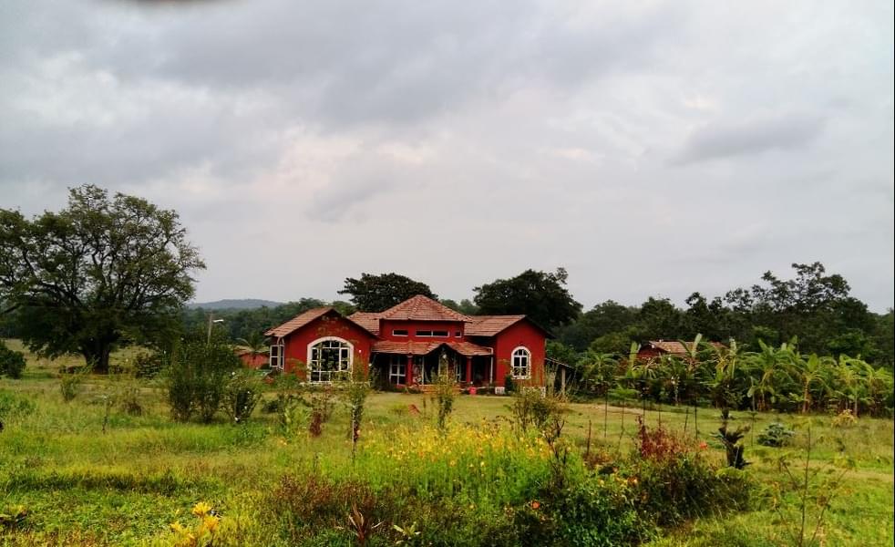 A Wild Vacation Retreat Tucked in Dandeli Forests Image