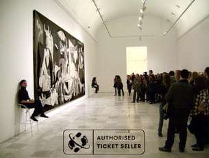 Reina Sofia Museum Madrid Guided Tour