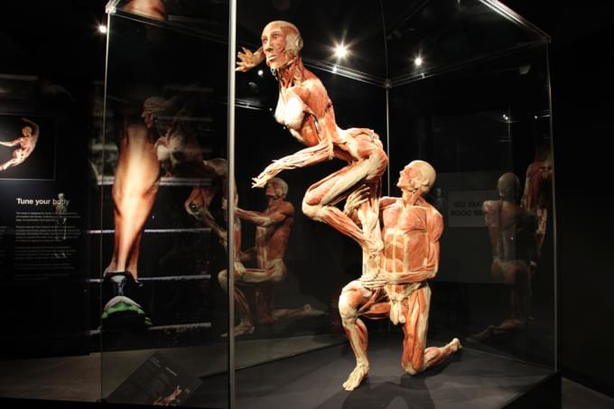 Body Worlds Amsterdam