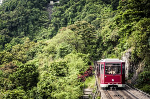 Nclemkwtpf1s2qd8m0keufiaz5ud shutterstock 580378459