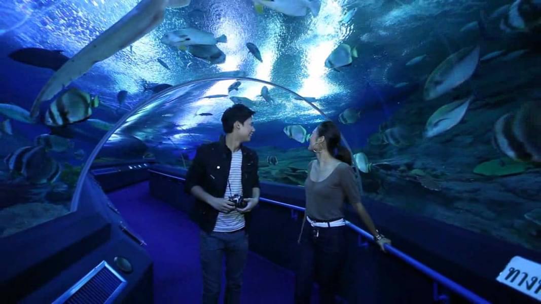 Walk through the amazing Underwater Tunnel with a 180-degree view