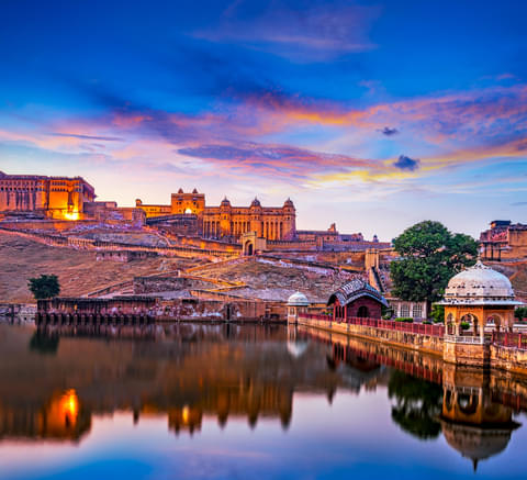 Activity & SightSeeing Image