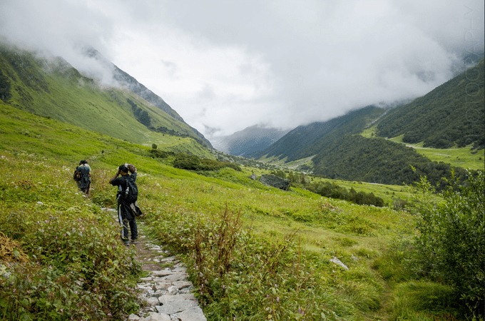 valley of flowers trek