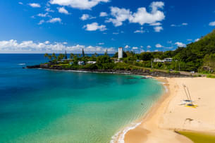 Oahu Grand Circle Tour with Snorkeling and Dole Plantation Visit