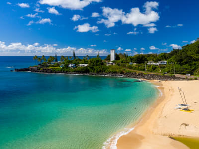 Oahu Grand Circle Tour with Snorkeling and Dole Plantation Visit