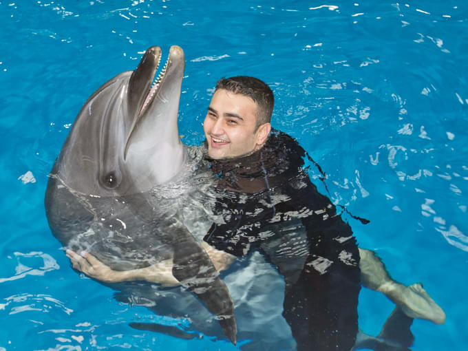 Enjoy swimming with the friendly dolphins