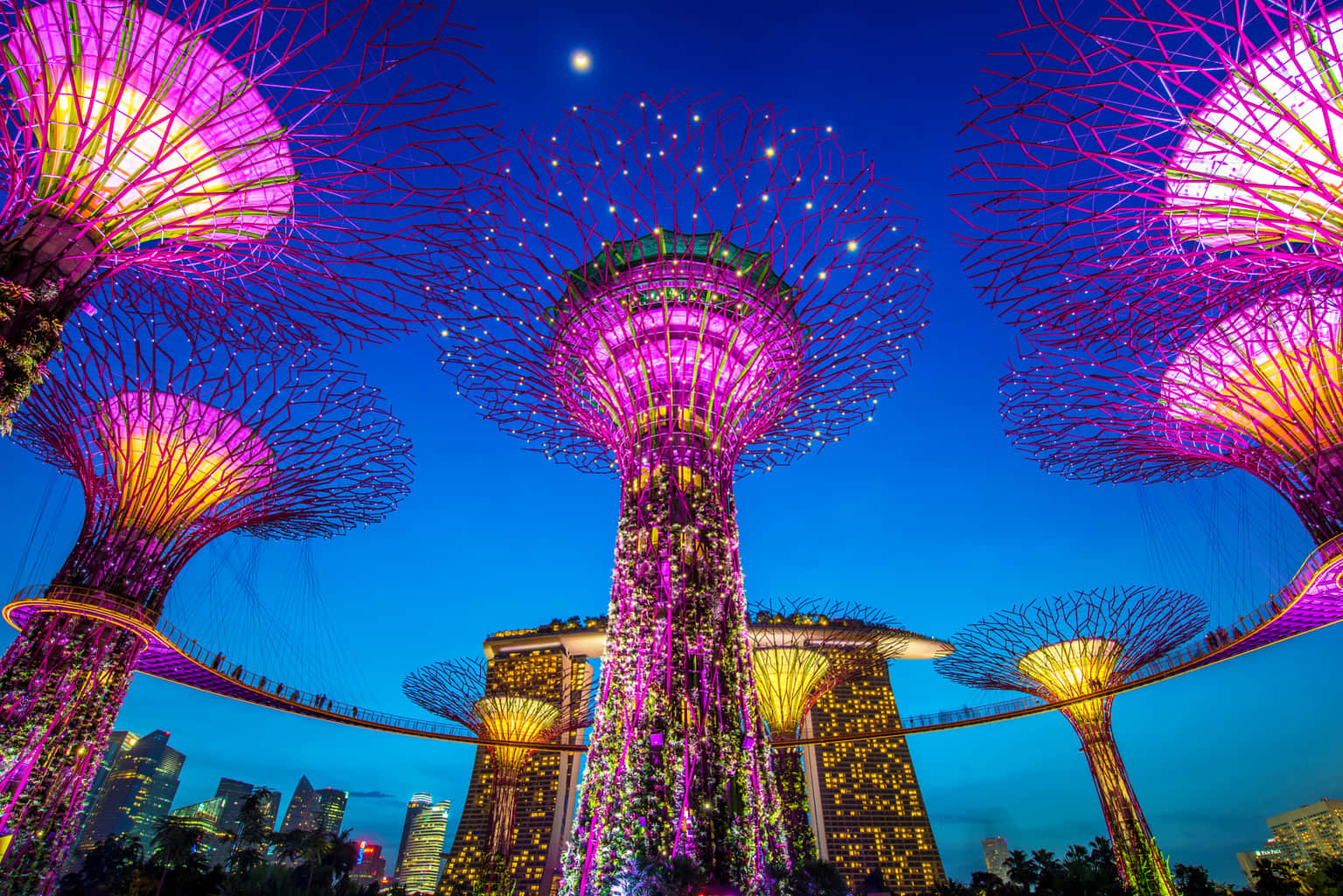 Singapore and Malaysia Tour Package from Hyderabad