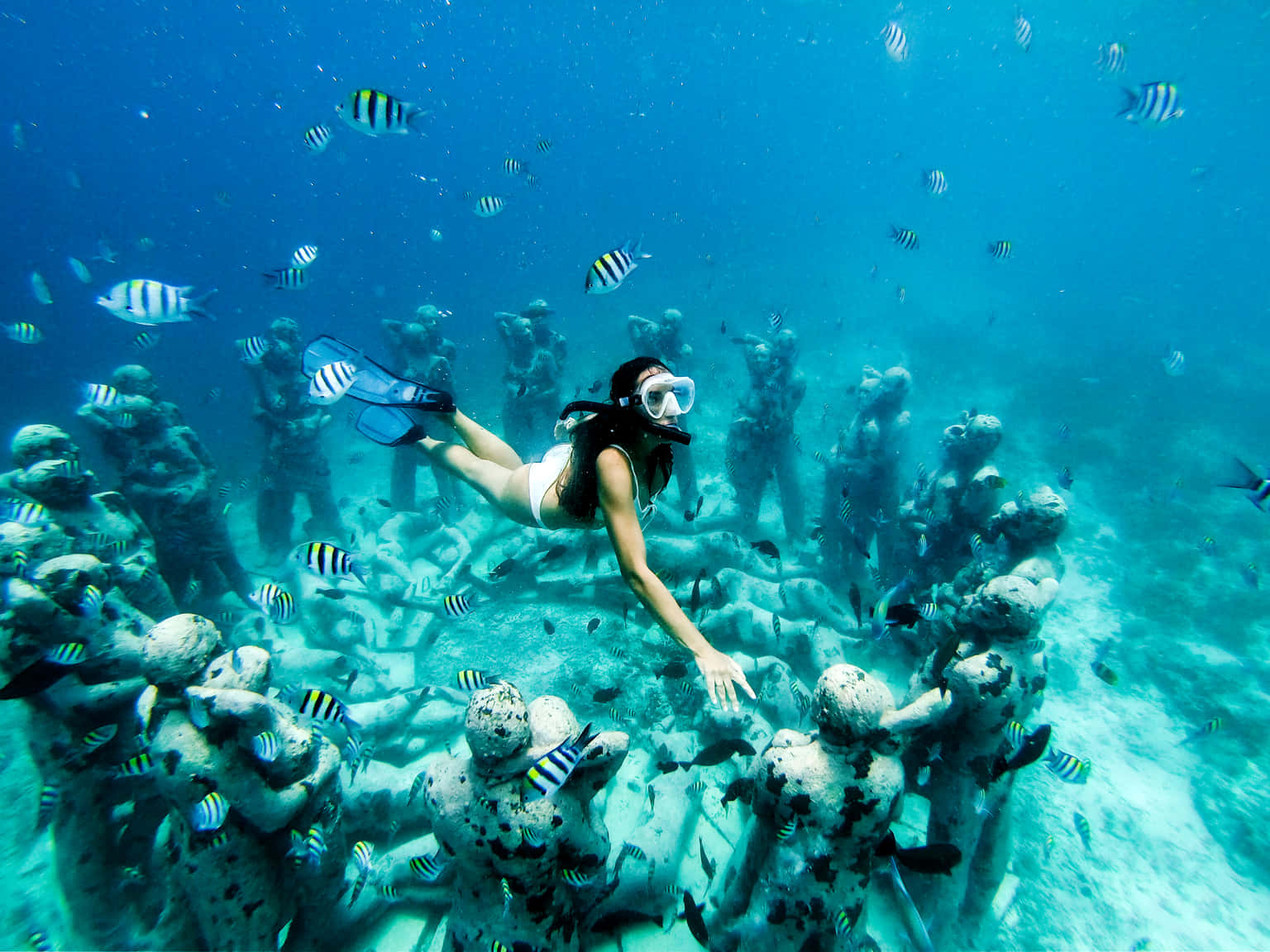 Snorkeling and Boating at Elephant Beach, Andaman