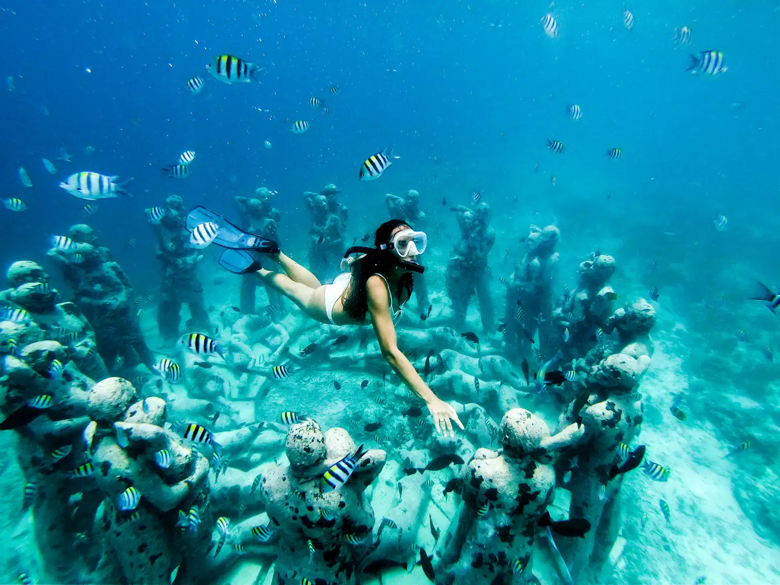 Snorkeling and Boating at Elephant Beach, Andaman