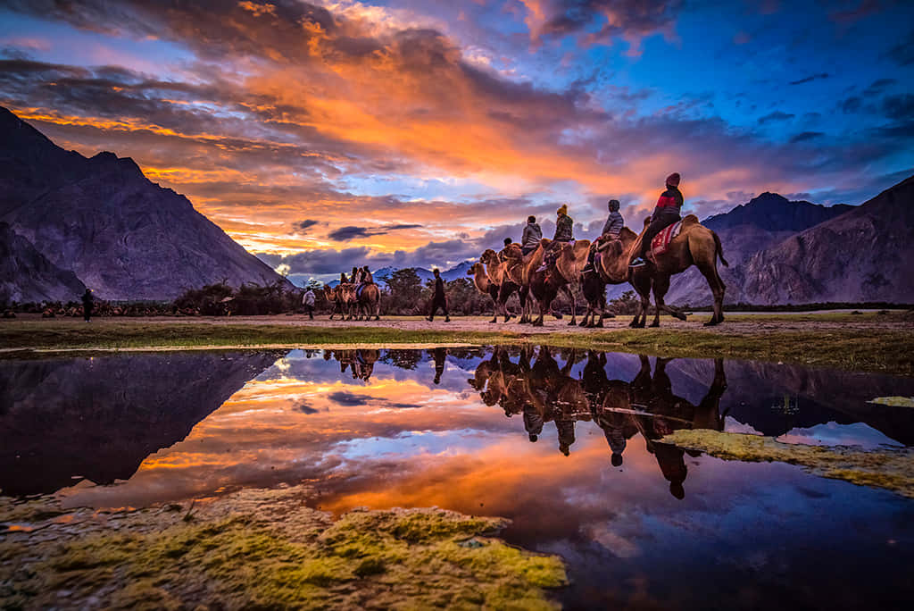 Ladakh Winter Trails | Group Tour Package