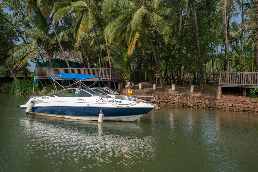 Speedboat Ride in North Goa Image