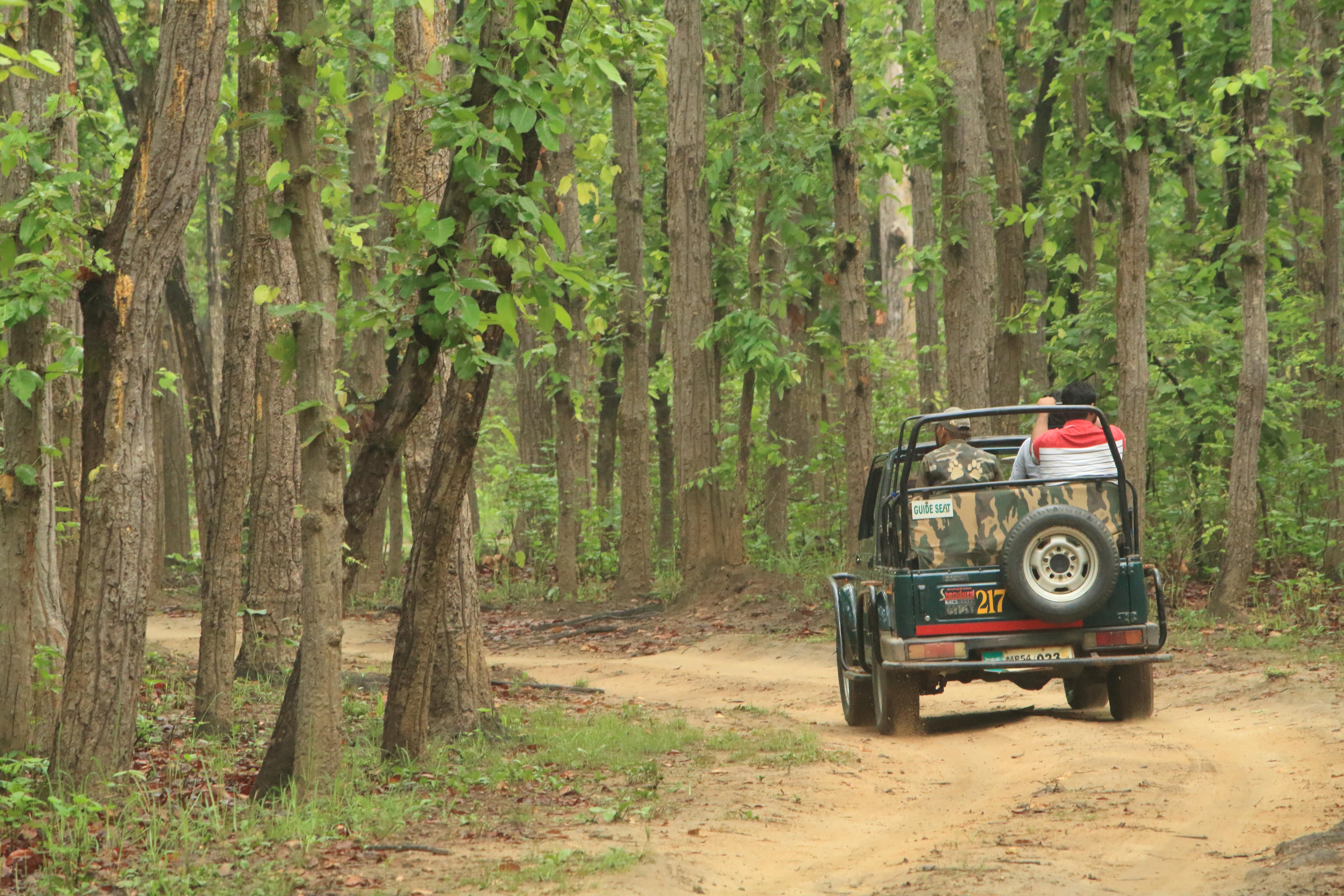 Offroad Jeep Ride in Kyathanamakki