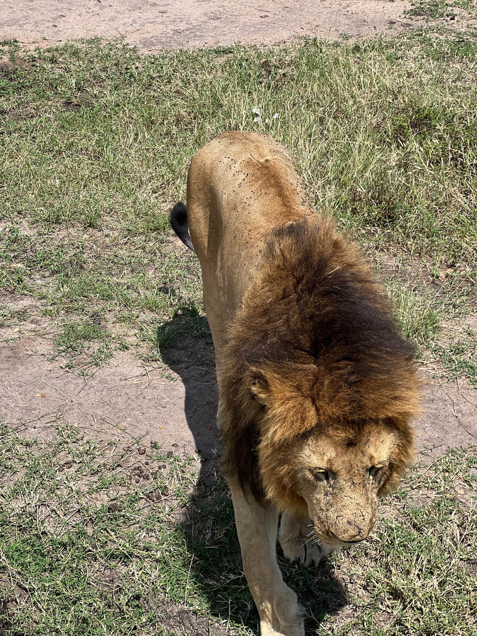 Photo from Siddhi Borkar's trip