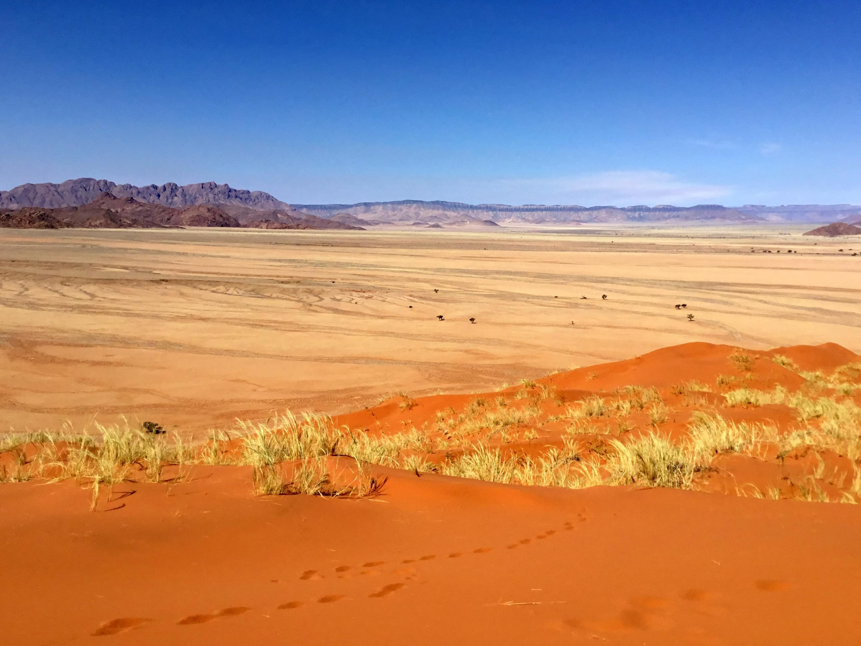 Elim Dune Overview