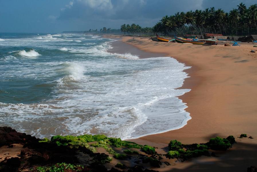 Kovalam to Varkala Sightseeing Tour Image