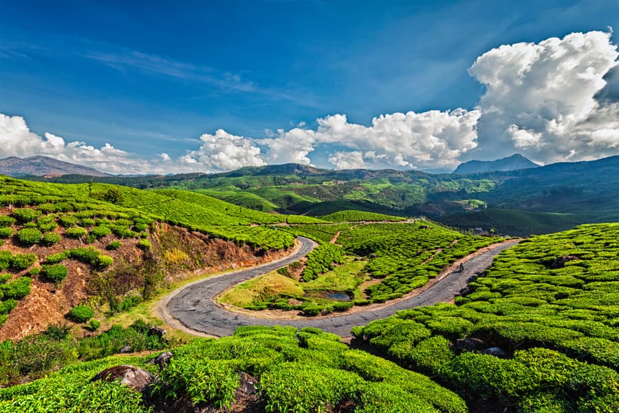 Romantic Getaway to Kerala | From Munnar Peaks to Backwater Peace Image