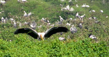 Nhn0oqxquclamnygdhwvnz0ep961 0c433fd823d2bedba8fb2ba50554ba96