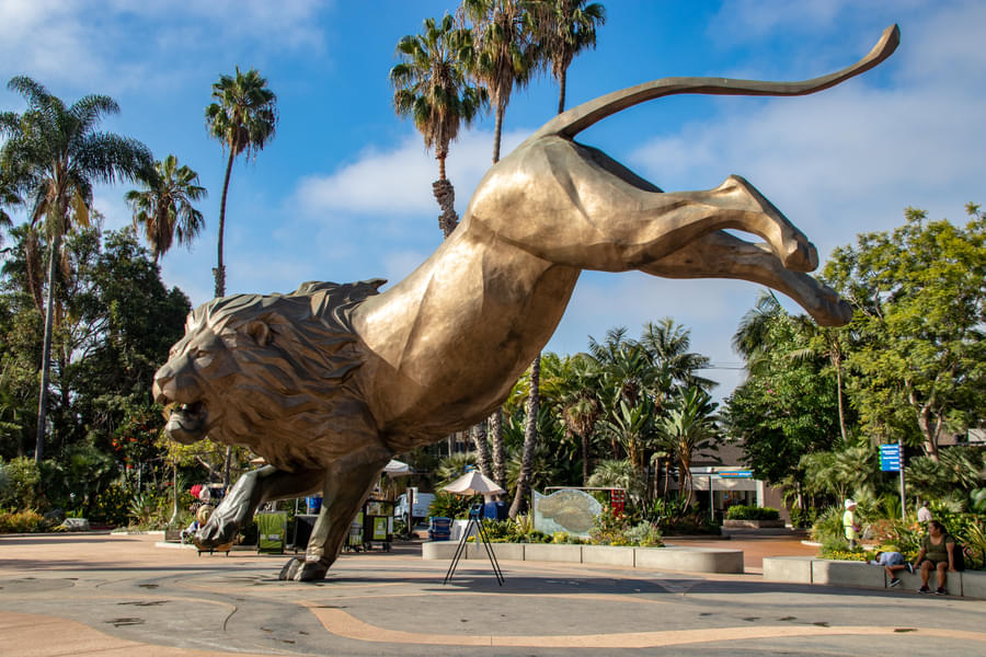 Marvel at the statue of Lion at the San Diego Zoo Safari Park