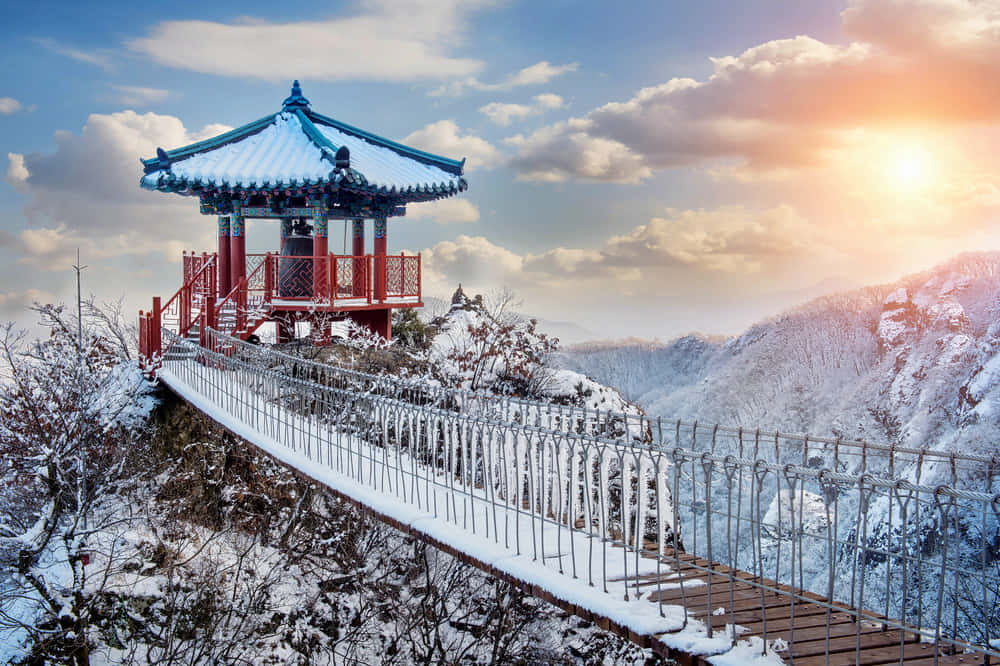 Exciting South Korea in 9 Days