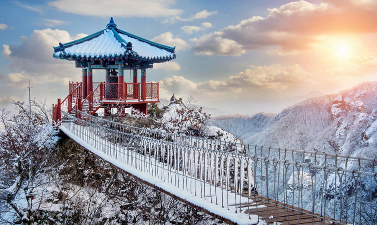 Best Selling South Korea Holiday Packages (Upto 20% Off)