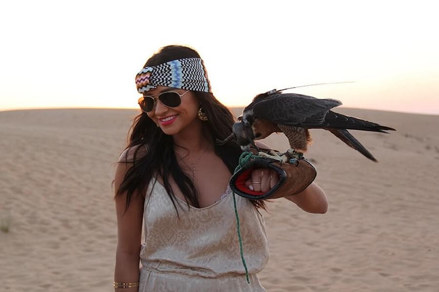 Snap epic pictures as you interact with the majestic desert Falcon.