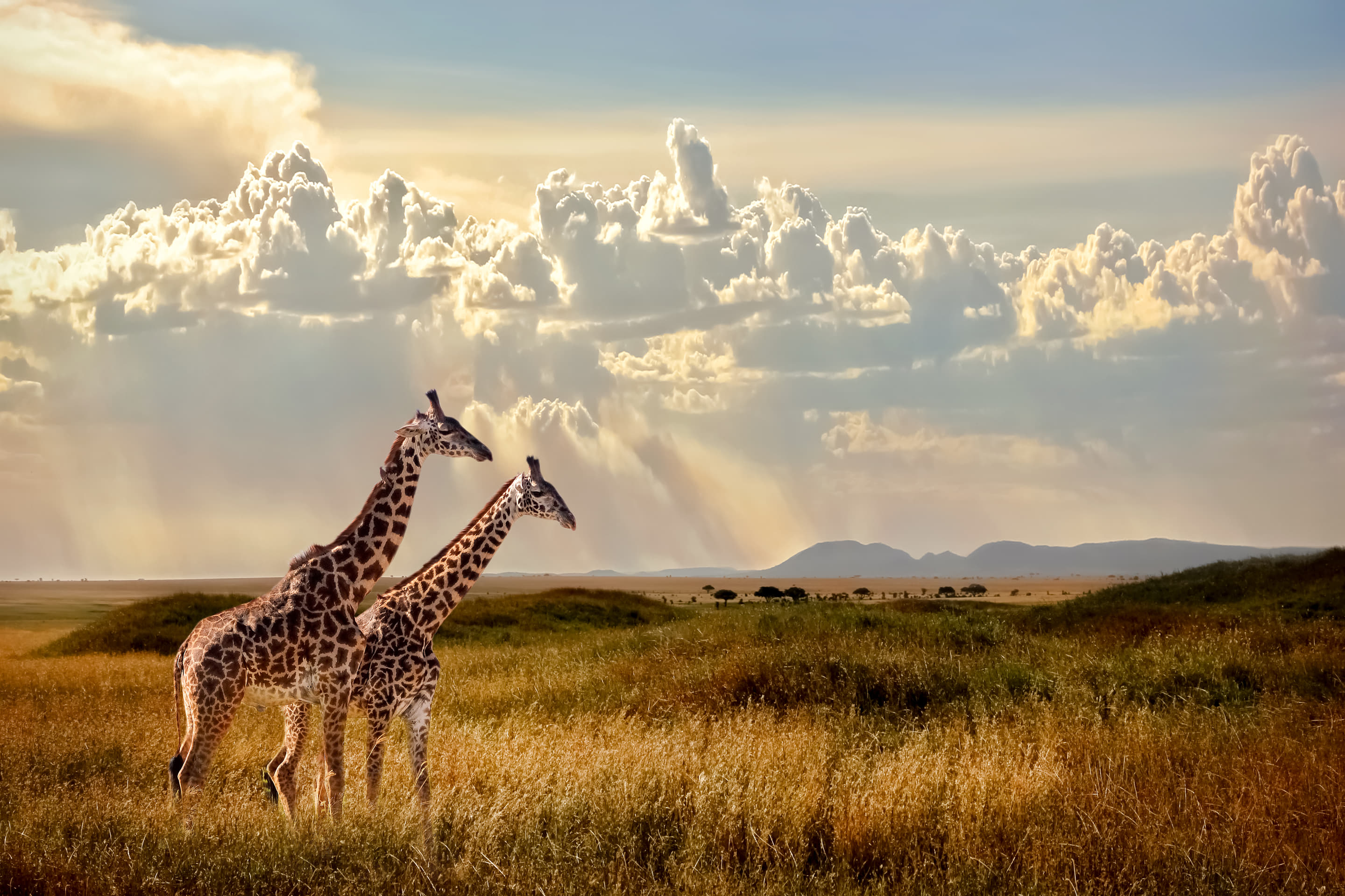 South Africa Holiday Packages from Nagpur