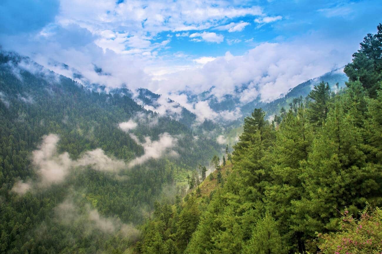 Doodhpathri Valley