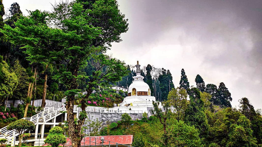 Explore Eastern India | FREE Darjeeling Tea Garden Excursion Image