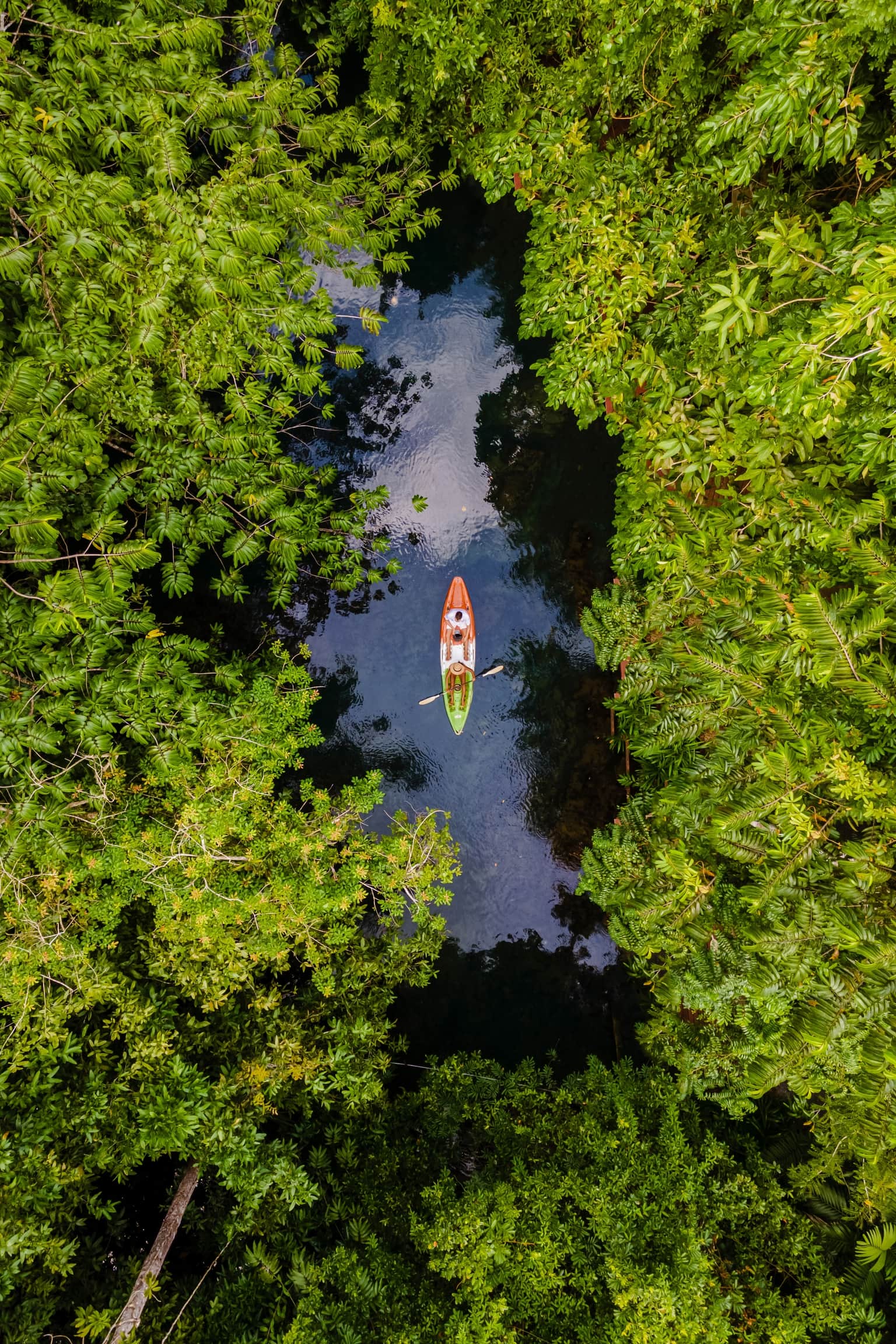 <em>Kerala</em> Tour Packages From Delhi 