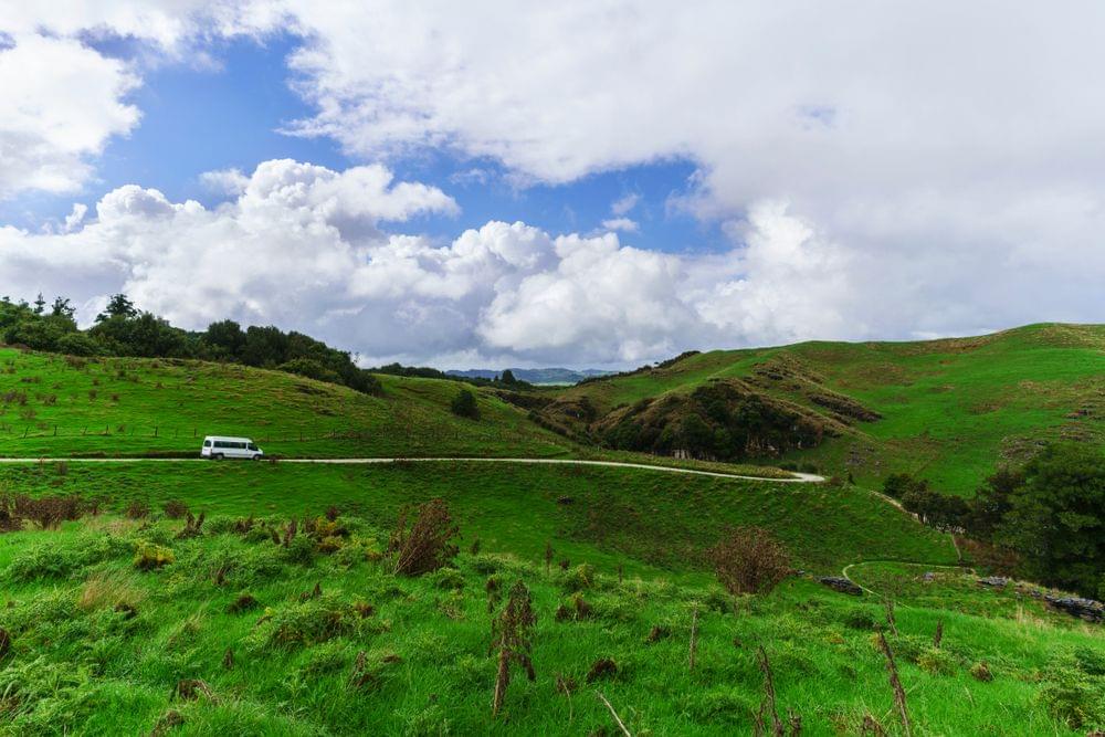 Hobbiton Movie Set & Waitomo Trip