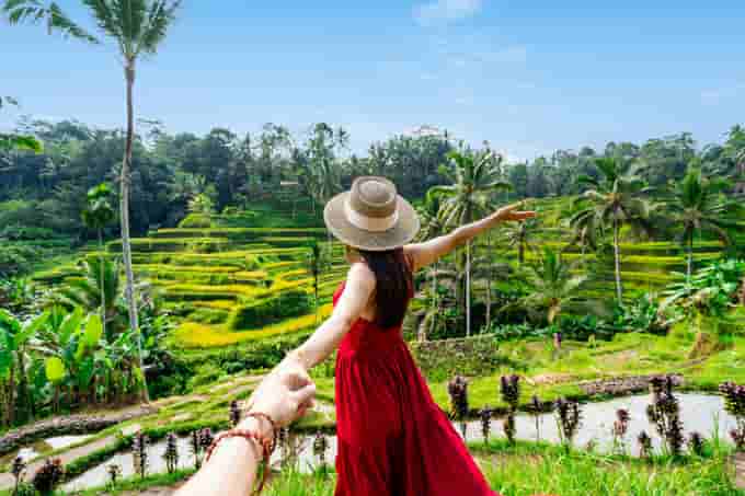 Witness the stunning rice terraces of the famous Tegallalang Rice Terraces