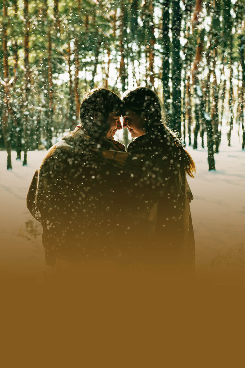 Romantic Escape to Kashmir | FREE Excursion to Gulmarg