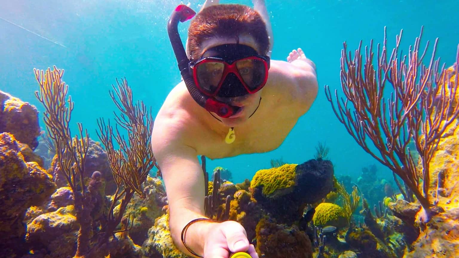 Snorkel in the Coral Reefs