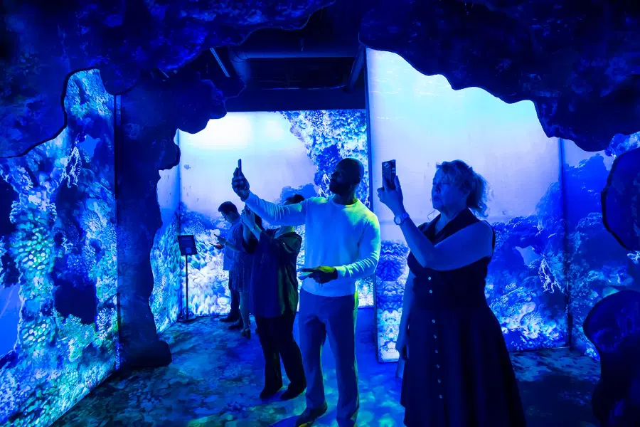 Arcadia Earth Tickets Image