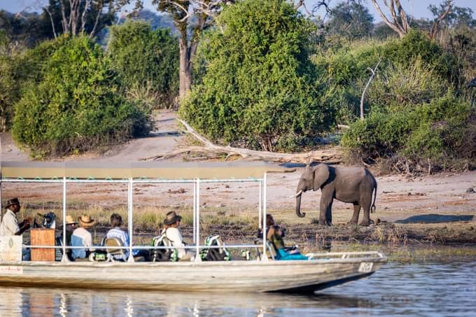 Stay in a Chobe Houseboat.jpg