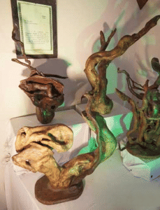 Witness naturally preserved art