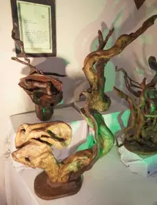 Witness naturally preserved art