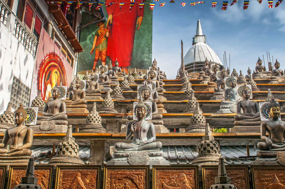 EXCLUSIVE Sri Lanka Retreat
