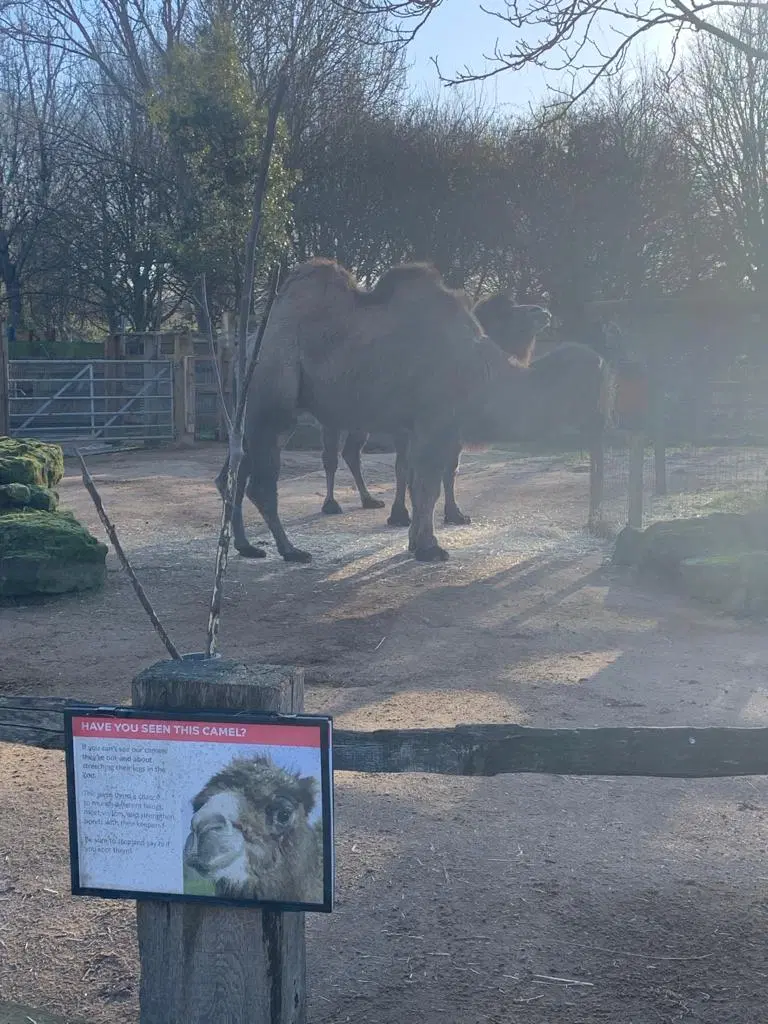 Photo from Angela 's trip