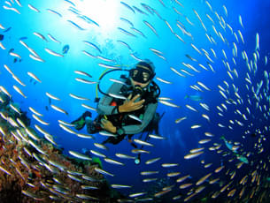 Get mesmerized by world beneath the waves with scuba diving