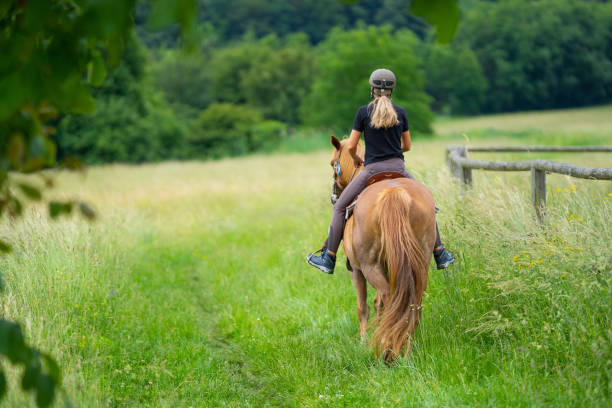 Horse Riding in the Meadows