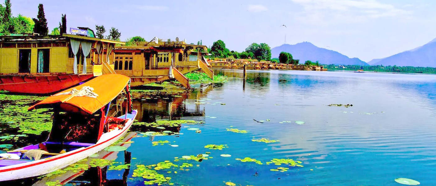 Embark on a scenic Shikara ride in Dal lake of Srinagar