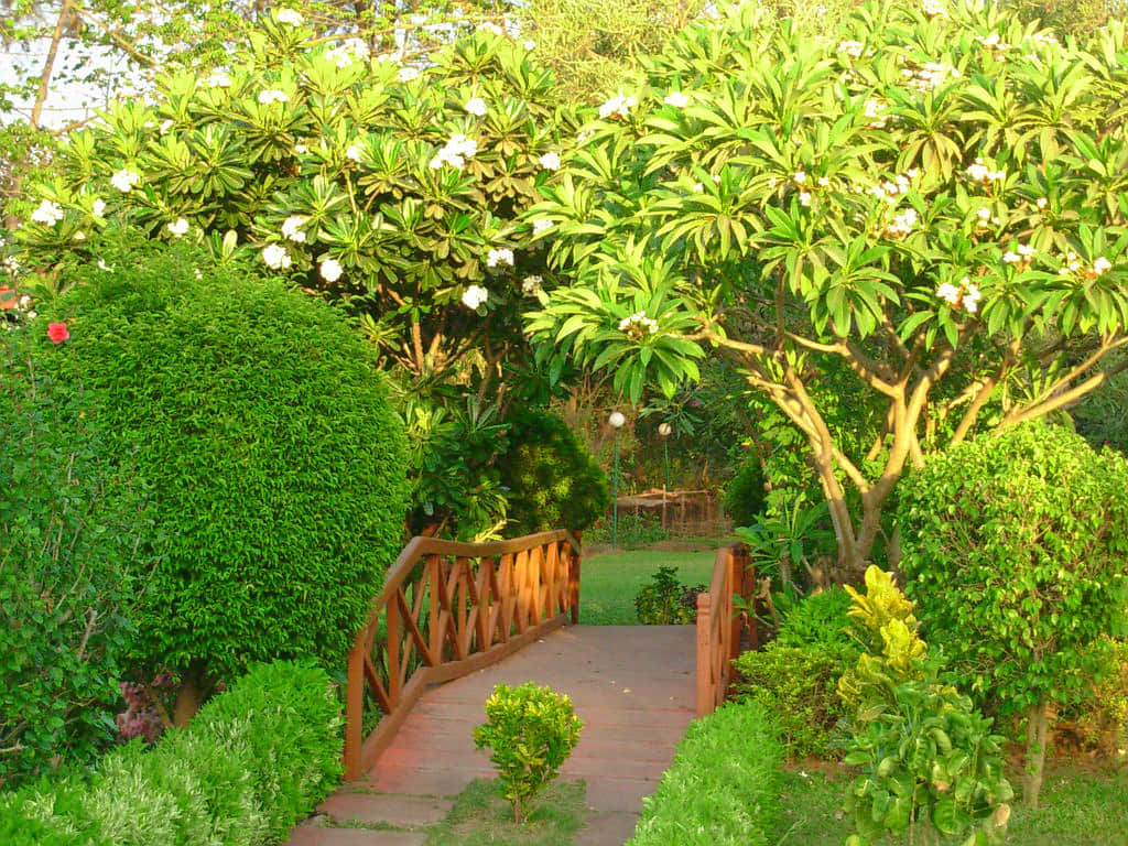Hirwa Van Garden, <em>Silvassa</em>
