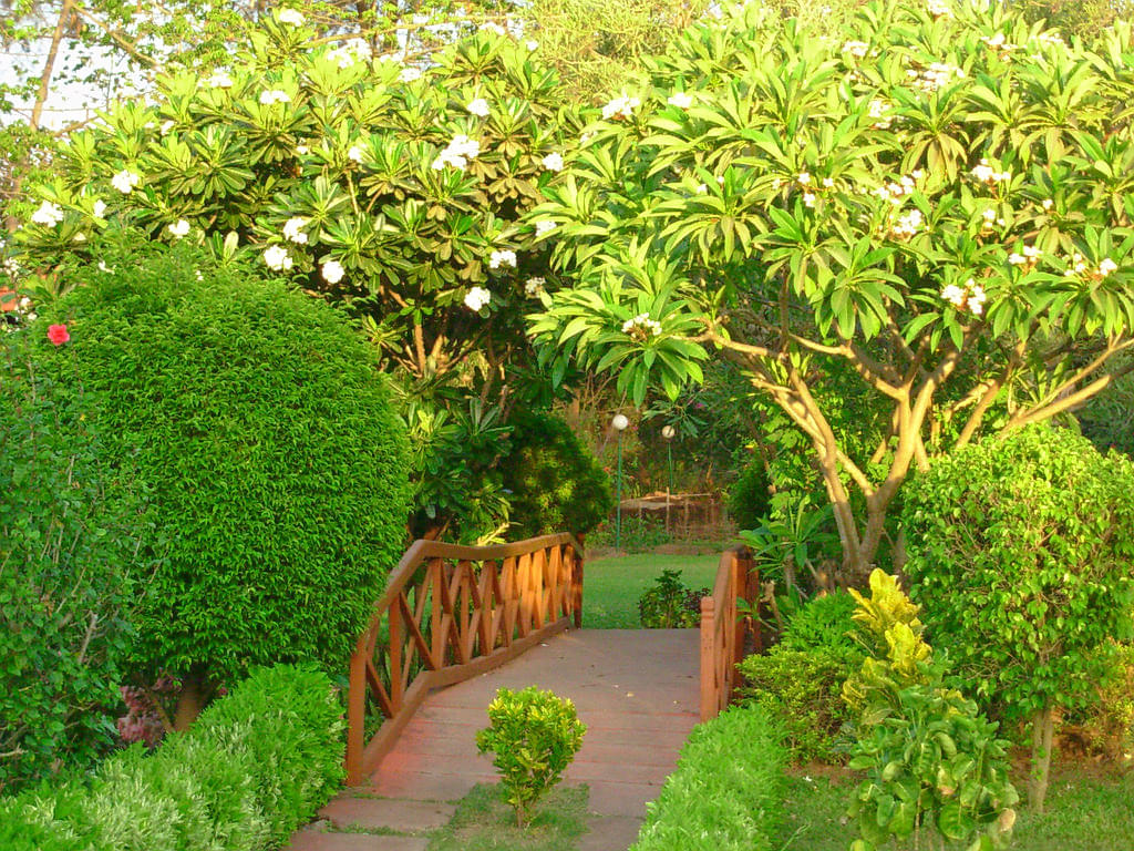 Hirwa Van Garden Overview