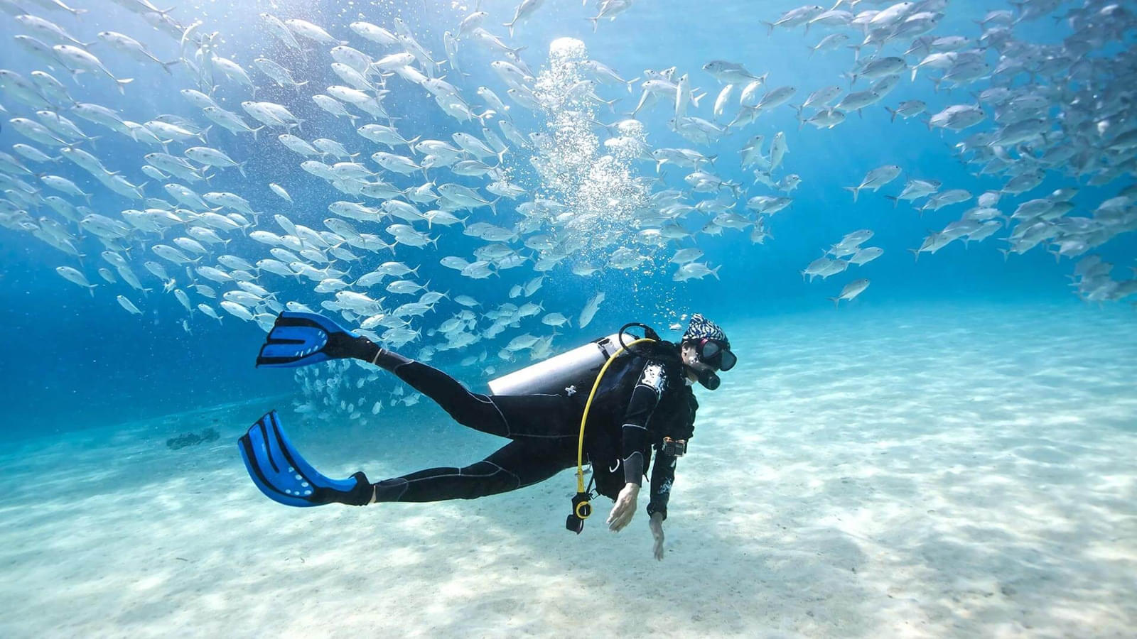 Get magnificent views of exotic aquatic life of Dubai