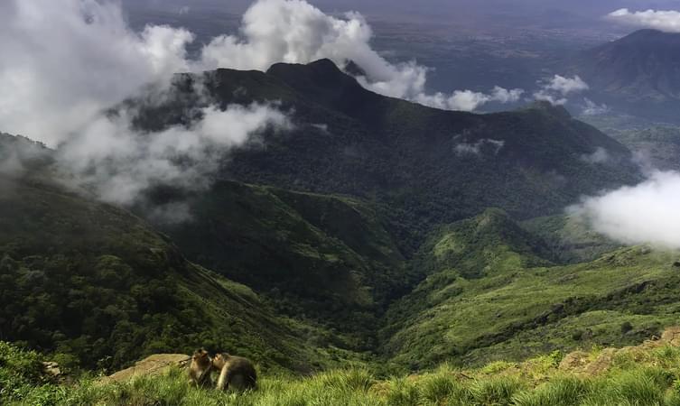 Green Valley View Point