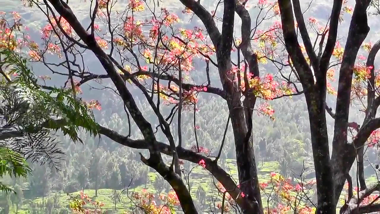 Photo from Chakor Mukhopadhyay's trip