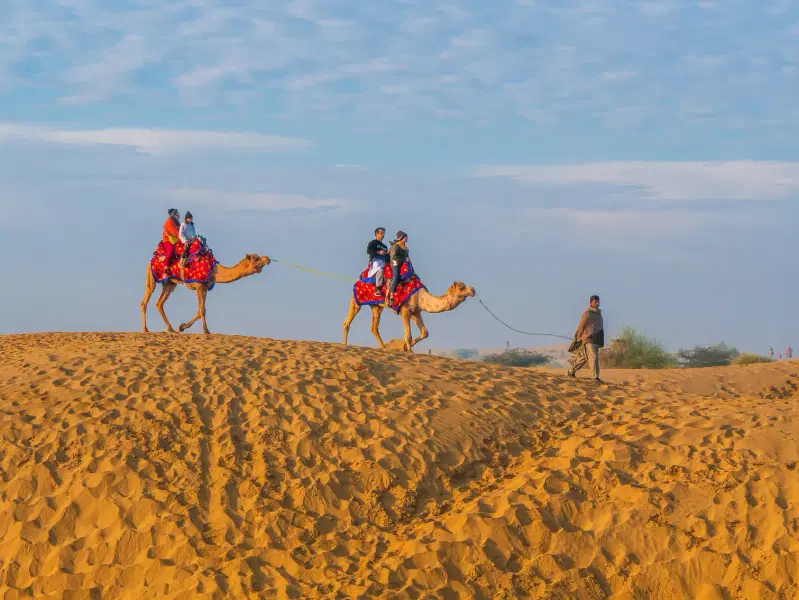 Jaisalmer Half Day City Tour with Jeep Safari & Camel Ride Image