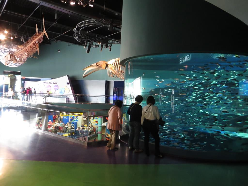 Ripley's Aquarium Of The Pacific