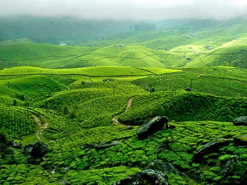 Painavu, <em>Idukki</em>